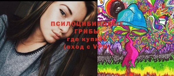 эйфоретик Богородицк