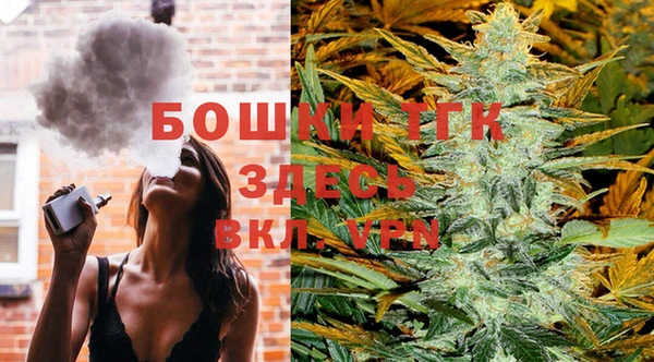 гидропоника Белокуриха