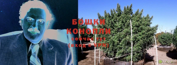 гидропоника Белокуриха