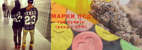 гидропоника Белокуриха