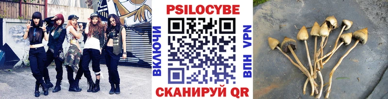 хочу   Щучье  Галлюциногенные грибы ЛСД 